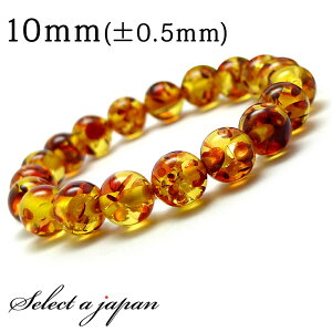  ij Ao[ uXbg 10mm p[Xg[ uXbg fB[X Y  ANZT[ YuXbg fB[XuXbg p[Xg[uXbg j
