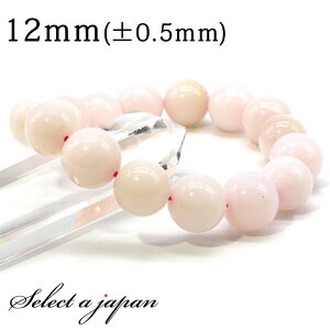 ySALEIz sNIp[ uXbg 12mm p[Xg[ uXbg Y fB[X VR  ANZT[ fB[XuXbg p[Xg[uXbg VR΃uX