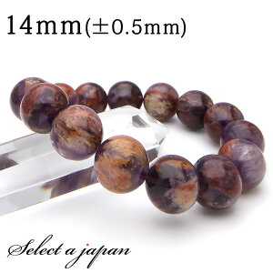 y}\SALEIz u1_ iv AWXgK[fNH[c uXbg 14mm p[Xg[ uXbg fB[X Y VR  ANZT[ YuXbg fB