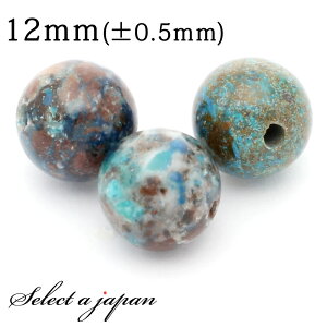 ySALEIz 1 N\R (y[) 12mm p[Xg[ o VR p[Xg[ ΂甄 ANZT[ p[c nhCh ANZT[p[c ޗ VR΃r[Y p[Xg