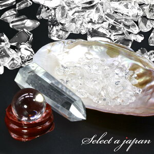 yقڑSiP20{I1231959܂Łz utR[Xv 򉻃Zbg |Cg    M   ʗp  q[O 򉻃ObY `bv r[Y