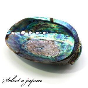 yقڑSiP20{I1118܂Łz AoVF VFv[g VRArLk ʃ|bVdグiʖj  L zCgZ[W pTg p[Xg[ 򉻎M 