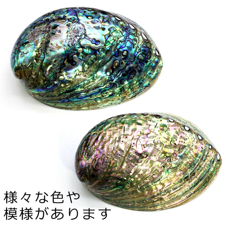 楽天市場 ほぼ全品ｐ倍 1月3日まで アバロンシェル シェルプレート 天然アワビ貝殻 両面ポリッシュ仕上げ 両面磨き あわび 貝 ホワイトセージ パロサント パワーストーンさざれ石 浄化皿 浄化用 浄化 皿 浄化グッズ さざれチップ用 さざれビーズ 癒し