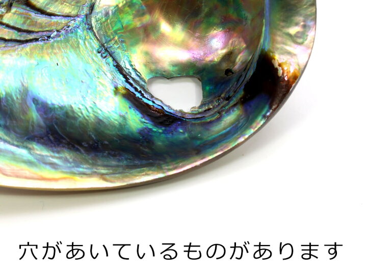 楽天市場 ほぼ全品ｐ倍 1月3日まで アバロンシェル シェルプレート 天然アワビ貝殻 両面ポリッシュ仕上げ 両面磨き あわび 貝 ホワイトセージ パロサント パワーストーンさざれ石 浄化皿 浄化用 浄化 皿 浄化グッズ さざれチップ用 さざれビーズ 癒し