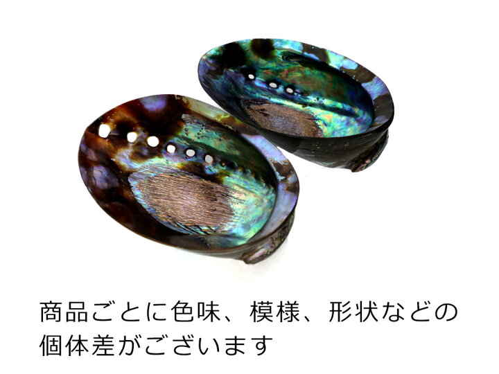 楽天市場】アバロンシェル シェルプレート 天然アワビ貝殻 両面 