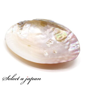 yقڑSiP20{I1118܂Łz p[VF CP`EL VR^Lk ʃ|bVdグiʖj p[ L zCgZ[W pTg p[Xg[ 򉻎M 򉻗p 