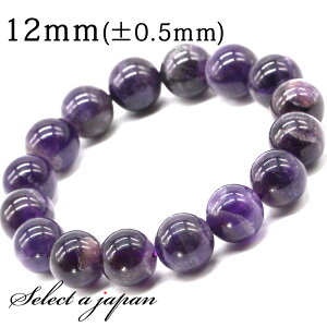 ySALEIz AWXg uXbg 12mm p[Xg[ uXbg Y fB[X VR  ANZT[ YuXbg fB[XuXbg p[Xg[uXb