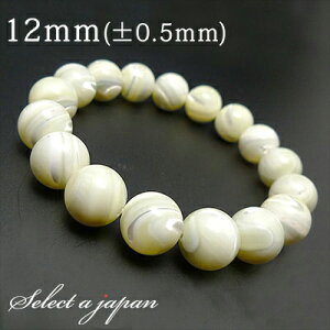 }U[Iup[ uXbg 12mm p[Xg[ uXbg fB[X VR  ANZT[ fB[XuXbg p[Xg[uXbg VR΃uXbg p 