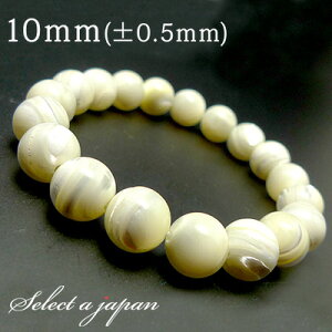 }U[Iup[ uXbg 10mm p[Xg[ uXbg fB[X VR  ANZT[ fB[XuXbg p[Xg[uXbg VR΃uXbg p 