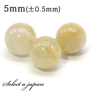 ySALEIz 1 S[h`NH[c 5mm p[Xg[ o VR p[Xg[ ΂甄 r[Y  1ʔ ANZT[ p[c nhCh ANZT[p[c ޗ