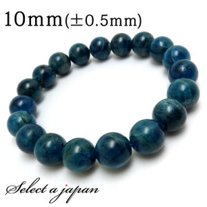 �y�労�Ӎ�SALE�I�z �A�p�^�C�g �u���X���b�g 10mm �p���[�X�g�[�� �u���X���b�g �����Y ���f�B�[�X �V�R�� ���� �A�N�Z�T���[ �����Y�u���X���b�g ���f�B�[�X�u���X���b�g �p���[�X�g�[���u