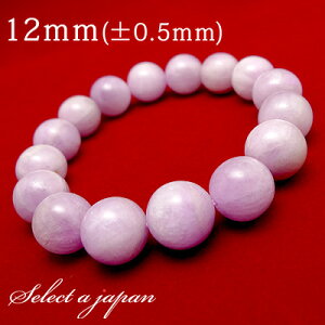 Nc@Cg uXbg 12mm p[Xg[ uXbg fB[X VR  ANZT[ fB[XuXbg p[Xg[uXbg VR΃uXbg p s