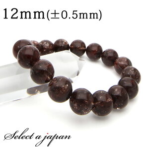 u1_ iv bh`NH[c `NH[c uXbg 12mm p[Xg[ uXbg Y fB[X VR  ` S[h` ANZT[ YuX