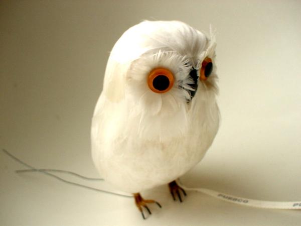 ☆PUEBCO（プエブコ）フクロウ Owl ホワイト　白　リアルバード鳥　剥製のようにリアル♪ふくろう雑貨通販