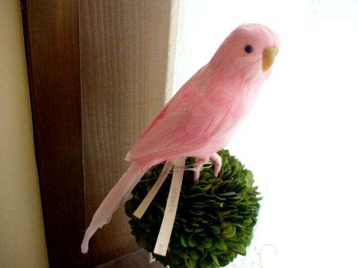楽天市場 Puebco プエブコ Budgie ピンク セキセイインコ 剥製のようにリアル鳥オブジェ 雑貨通販 Rcp Selectstore