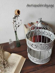 yő500~OFFN[|zAeB[NVr[@ACAo[hQ[WEh@MTCY@vgz_[@AeB[NO[orzCg@v^[CeAɁ@jOyRCP