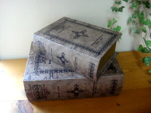 AeB[Nm@28256ijscarletLetter@V[Nbg{bNX@WG[{bNXRNVP[XɎ^Gݒʔ́yRCPz