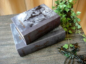 AeB[Nm@V[Nbg{bNX28236ij@WG[{bNXRNVP[XɎGݒʔ́yRCPz