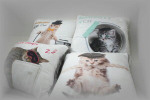 CATtFCNt@[@NbV@L@lR@ӂӂAӂӂ@s[@@ōyRCPz
