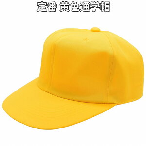 y݌ɌzΉE wZ ʊwX CG[ F q LbY WjA Xq tďH~ l[ l[Ȃ 111001-2y܂Ƃߔ劽}zyyΉ ]҃I}Ptz