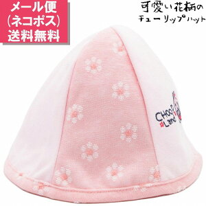 nbg LbY q V[vh CHOOPLAND `[bvnbg sN ԕ xr[ Xq tďH~ 4371000y[ z