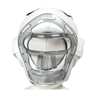 ISAMI CT~ TT-300 M[wbhK[h iwbhJo[tj  LTCY