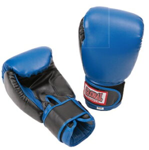 {NVO O[u 058 E 12oz 12IX GLOBAL SPORTS O[oX|[c