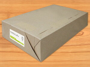 マルチカメレオン<200kg>ホワイトN(自然な白色)B4 800枚 【当日発送可】【サイズ変更可】