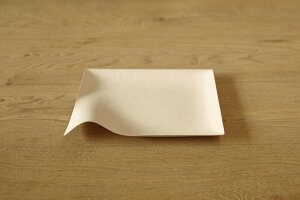 v[Xܓi100jWASARAypMz