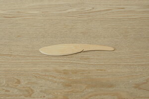 WASARAy|iCt 250{zv[XȈՕ