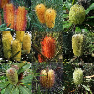 oNVA@SҌ@v炢33@A\[gi3O|bgj