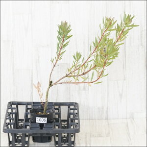 st[Jfh@GC~[@No.1006@4