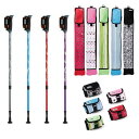 HATACHI ノルディックウォーキング ポール DFPプログレッシブズーム + スリムポールケース 羽立工業 ハタチ ノルディ…