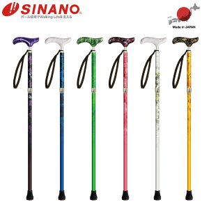 SINANO Vim sN`XN t[  XebL Yp fB[Xp { 1{  XebL