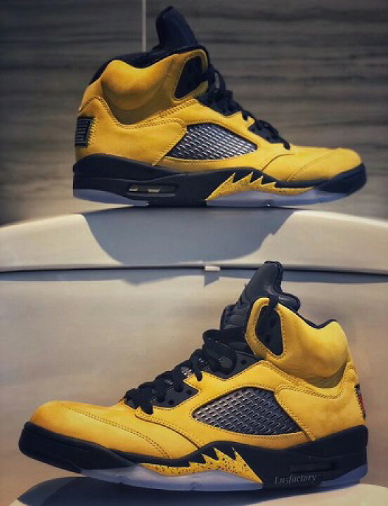michigan jordan 5s