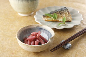 木村農園 愛知県産金時生姜のお漬物 梅しそ味 70g　南高梅農家の梅酢使用切り芽生姜使用 新感覚のお漬物 しょうがの漬物 漬け物 漬物 生姜 酢生姜 ご飯のお供 毎日の食事に お弁当に お茶請けに