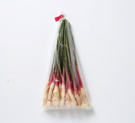 夏季限定商品　 柔らかい芽生姜9月8日~9月20日発送分の受付　 畑で作る旬の味　木村農園　金時生姜の新生…