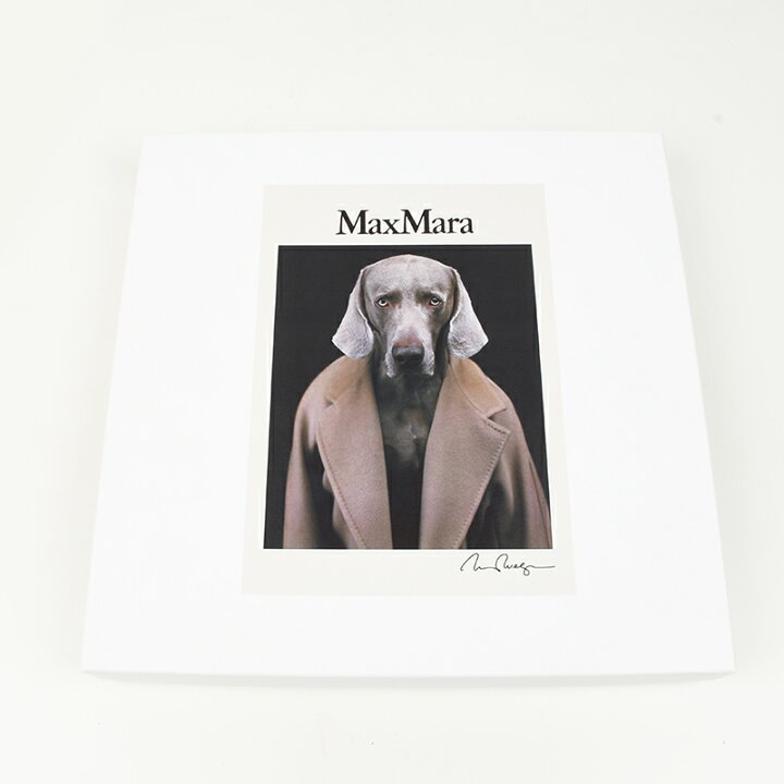 楽天市場】Max Mara マックスマーラ CIPRIA 014 ホワイト半袖Tシャツ 