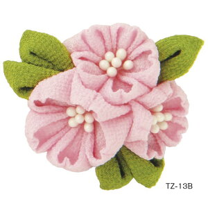 ͂߂Ă̂܂ݍ׍H ̃u[` (TZ-13) IpX ܂ݍ׍H ܂ Lbg | ޗ  ĂÂ nhCh Lbg |Lbg Olympus