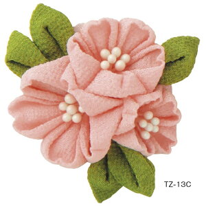 yP10{11/30z͂߂Ă̂܂ݍ׍H ̃u[` (TZ-13) IpX ܂ݍ׍H ܂ Lbg | ޗ  ĂÂ nhCh Lbg |Lbg Olympus