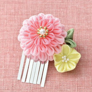 yP10{11/1_tf[z܂ݍ׍H Lbg Lbg  u[` sN LH-458 Panami pi~ ߂ a ܂ | ޗ |Lbg a aG