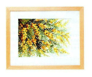 NXXeb` Lbg ㋉ ImGO~ ɕ؂ ~U̍炭u 7178 ItzCg hJ hイ イ ޗZbg |Lbg  IpX Olympus