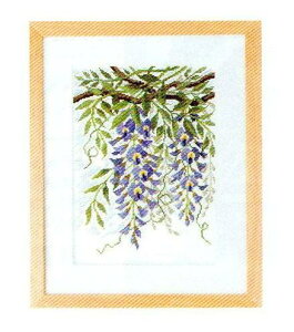 NXXeb` Lbg ㋉ ImGO~ ɕ؂ ӂƂ 7180 ItzCg hJ hイ イ ޗZbg |Lbg  nhCh IpX Olympus