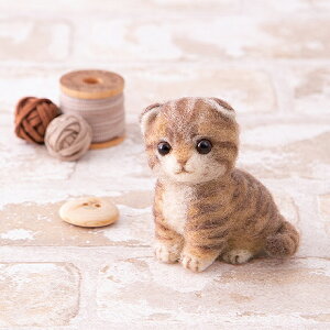 yP5{BLACK FRIDAYԌzn}iJ AN[kłXReBbVtH[h H441-649 rуtFg tFgr Lbg |Lbg Lbg AN[kLbg