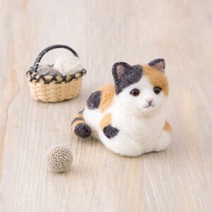 yP5{BLACK FRIDAYԌzn}iJ AN[kłOт˂ H441-650 ~PlR rуtFg tFgr Lbg |Lbg Lbg AN[kLbg