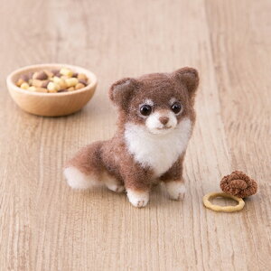 yP5{BLACK FRIDAYԌzn}iJ AN[kł` OR[g H441-651 rуtFg tFgr Lbg |Lbg Lbg AN[kLbg