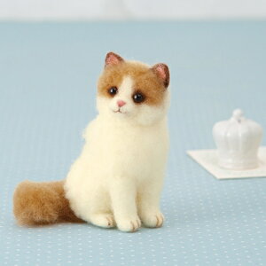 yP10{11/30zn}iJ AN[kł Oh[ H441-537 rуtFg Lbg |Lbg