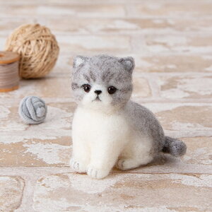 yP10{11/30zn}iJ AN[kłGL]`bNV[gփA H441-608 rуtFg tFgr Lbg |Lbg Lbg AN[kLbg