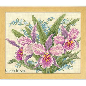 yP10{11/1_tf[zNXXeb` Lbg `㋉ ImGO~ {^jJK[f JgA No.7502 x[W hJ hイ イ ޗZbg |Lbg  I