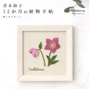 yP5{yVC[OXӍՁzhイ Lbg ؘaq 12̐A蒟 NX}X[Y Helleborus 542001  hJLbg ޗZbg |Lbg Lbg nhCh cosmo RX 